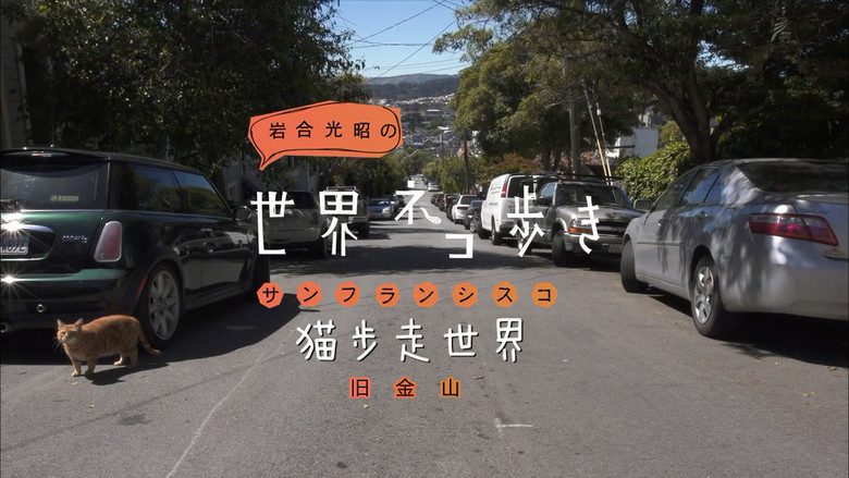 Still image for Mitsuaki Iwago's World “Cats” Travelogue season 1 episode 52: San Francisco Still image for Mitsuaki Iwago's World “Cats” Travelogue season 1 episode 52: San Francisco