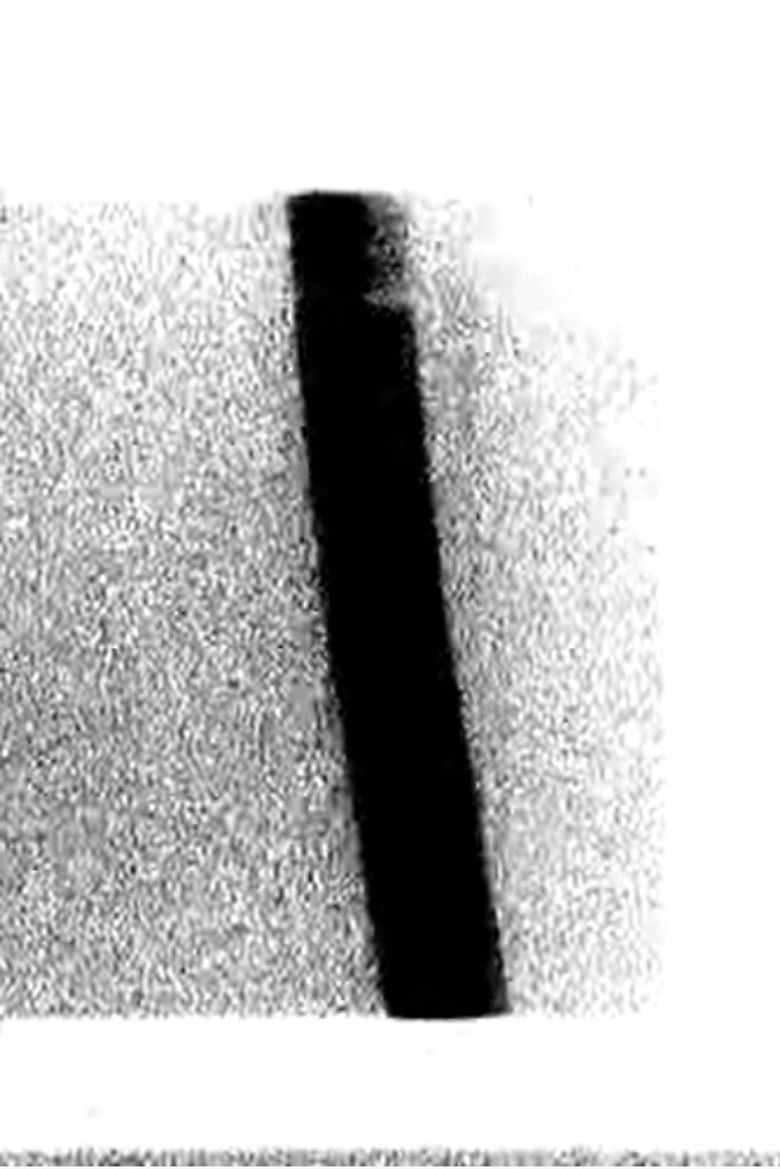 Imatge de Infantile Film