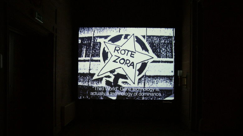 Gallery image from 1vtEh0QGMCAVpqQDxDywRAjQEn4.jpg