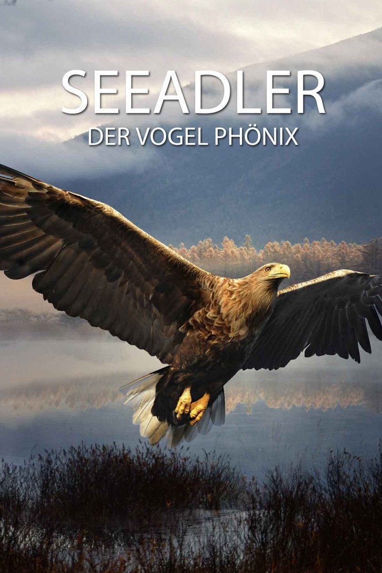 Seeadler - Der Vogel Phönix main poster