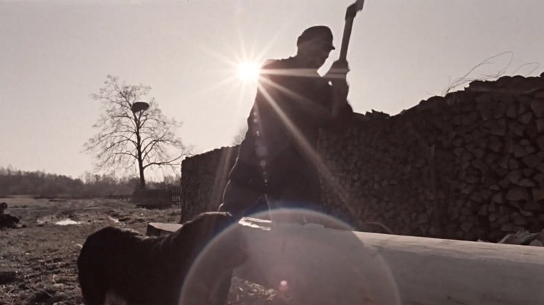 Gallery image from 1w7doRhbG6jiJy1MOMnT4ImtilI.jpg