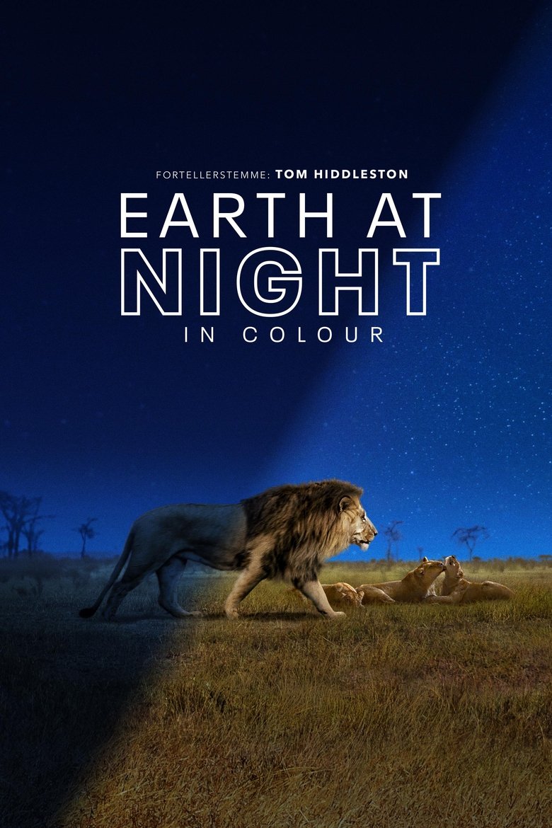 Earth at Night in Colour