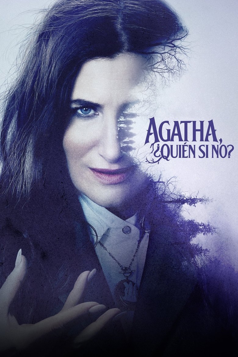 Póster la Serie