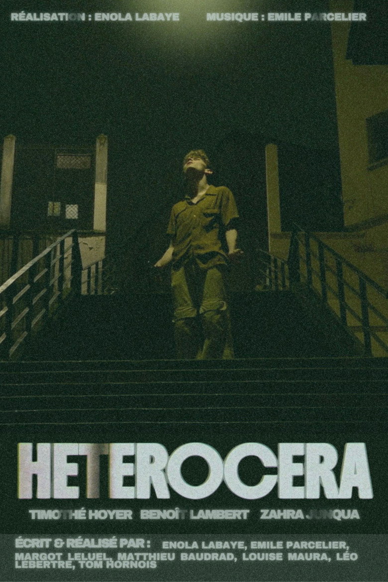 Imatge de HETEROCERA