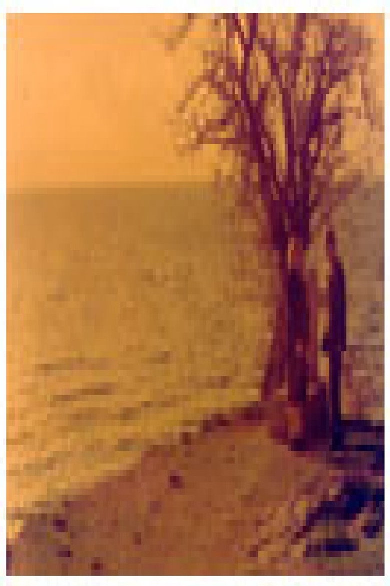 Imatge de Љубовта на Кочо Топенчаров