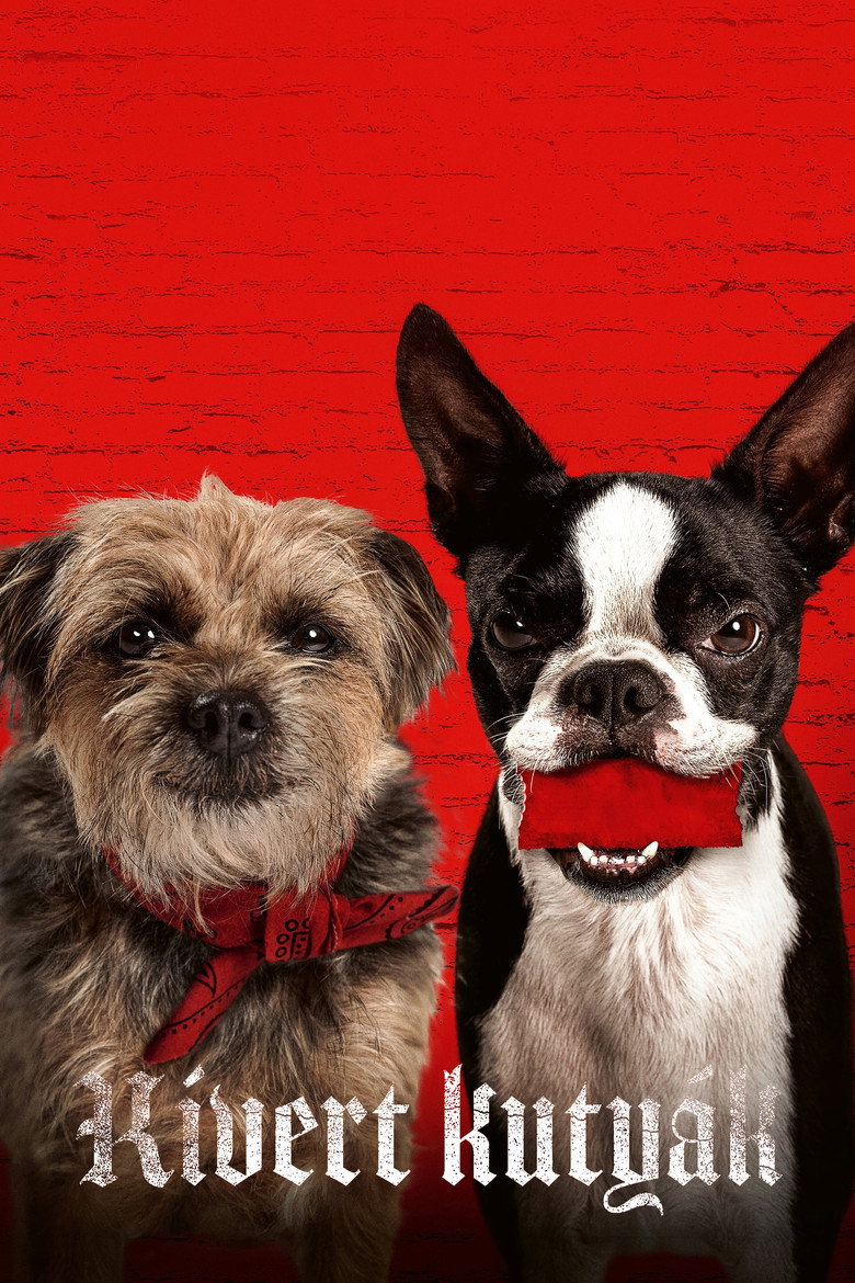 Kivert kuty&aacute;k (2023)