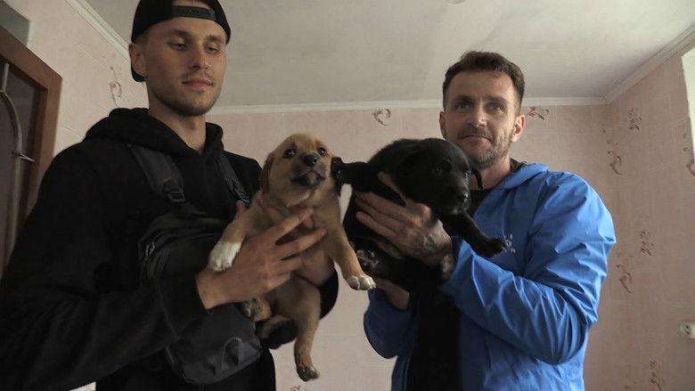 Image d'arrière-plan 2 du film Dogs and War: What I saw in Ukraine