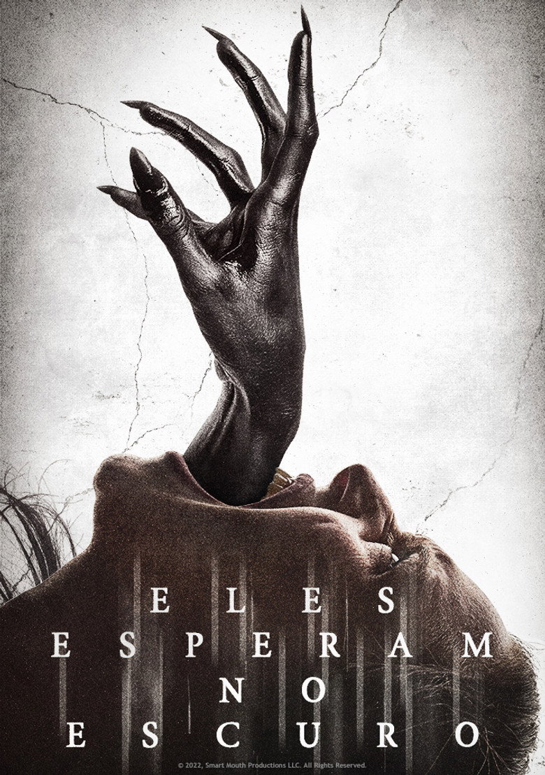 Póster la Película
