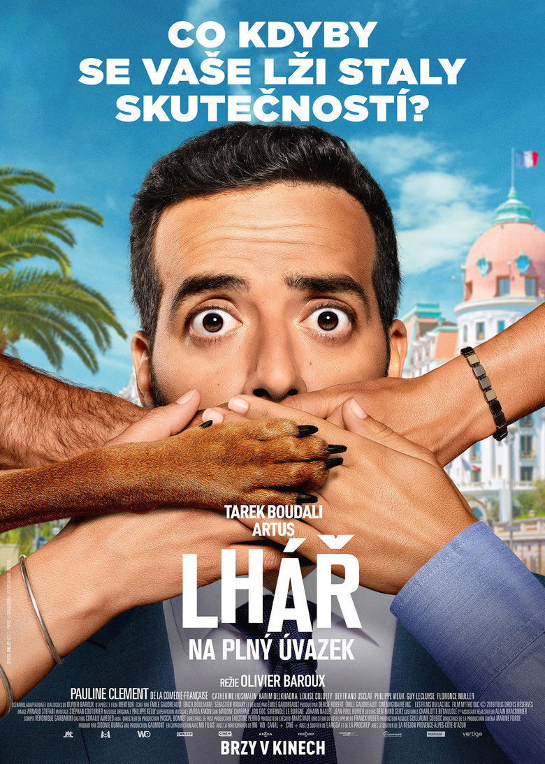 Plakát k filmu Lhář na plný úvazek