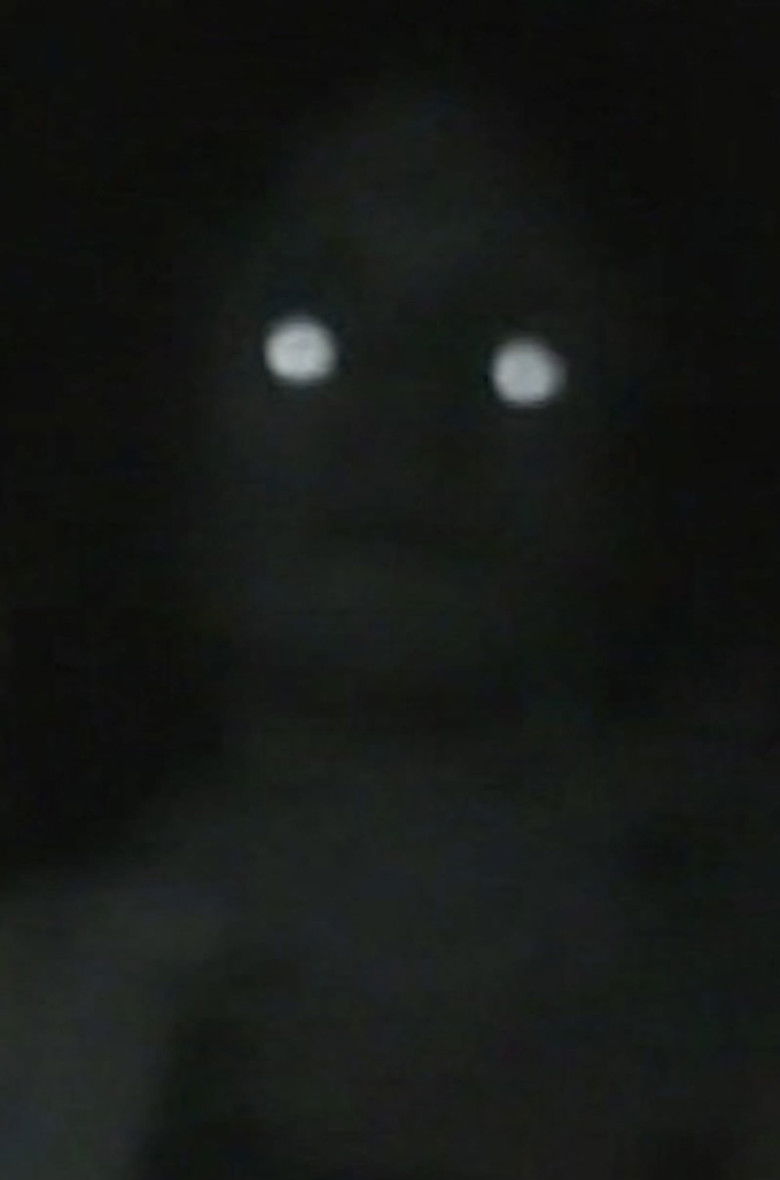 Imatge de La nuit c'est à nous