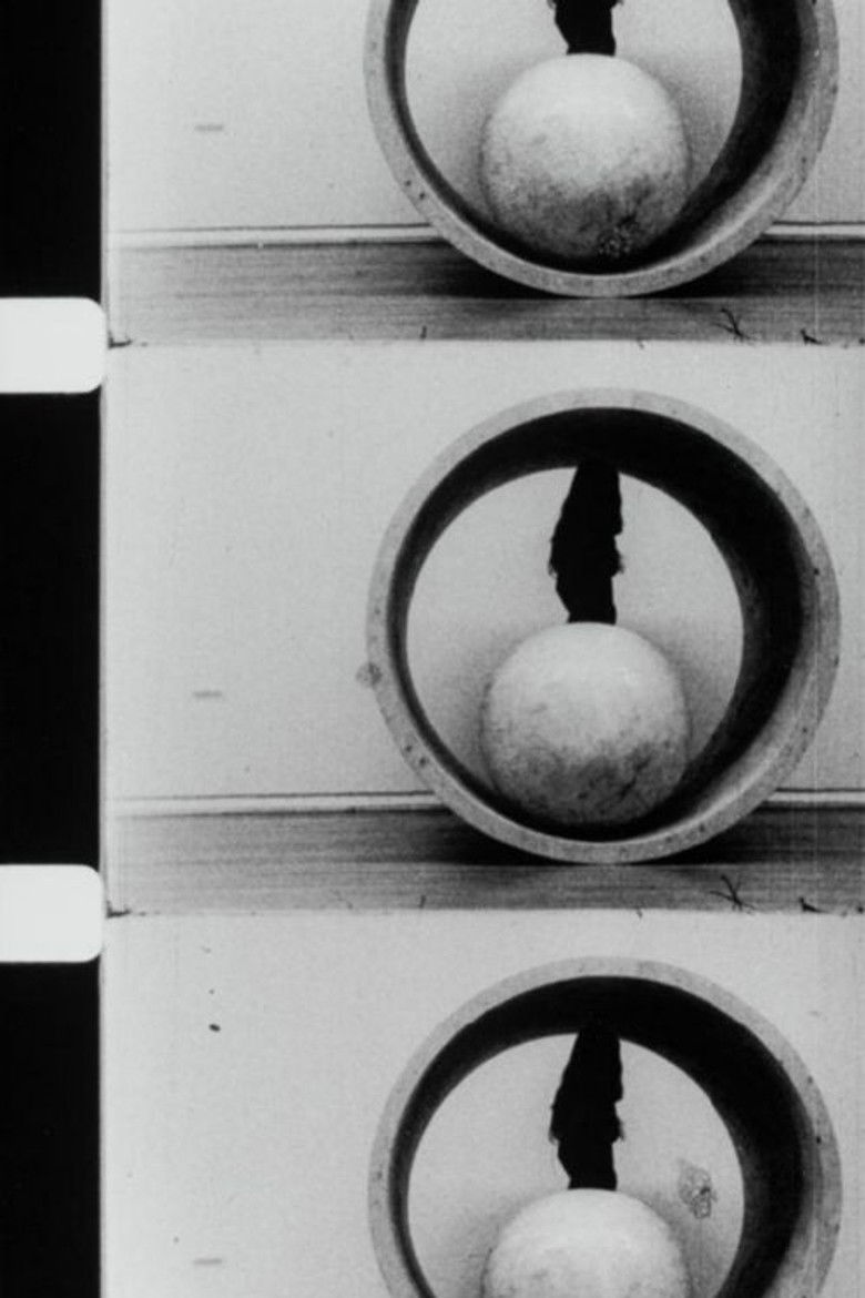 Imatge de Neo-classic