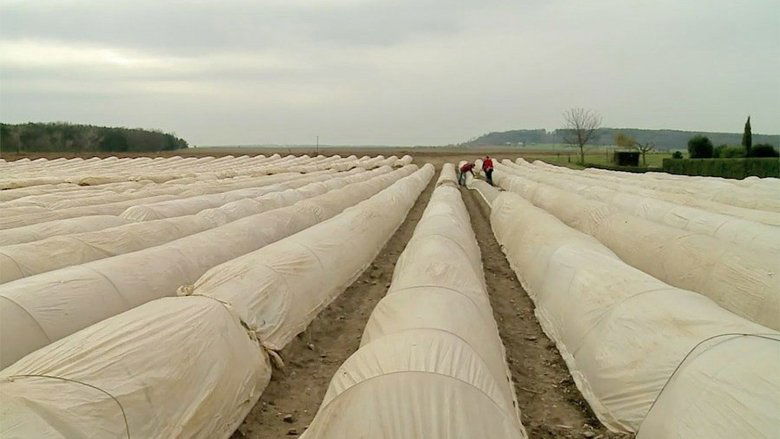 Kluci v akci Sezóna 1 Epizoda 281 bombuj