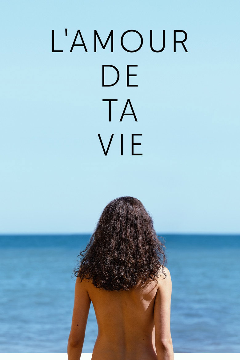 Póster la Película
