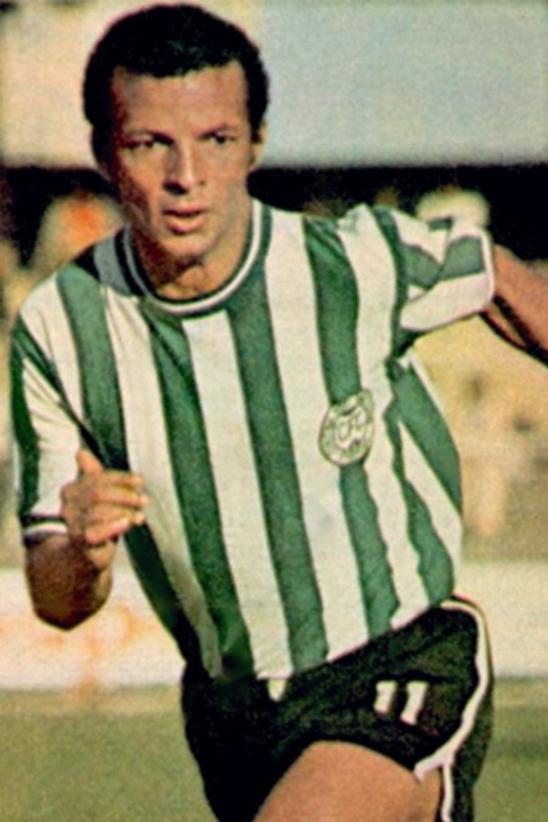 Aladim Luciano portrait