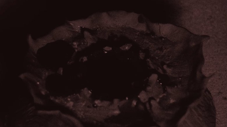 Gallery image from 20cMKewmJB0CpHeB43a3TLRX6HJ.jpg
