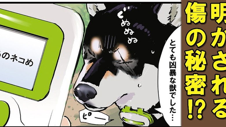 Still image for Doomsday with My Dog season 1 episode 61: Washed Up / Drift-Penguin / Lie Detector: Black Shiba Sequel Still image for Doomsday with My Dog season 1 episode 61: Washed Up / Drift-Penguin / Lie Detector: Black Shiba Sequel