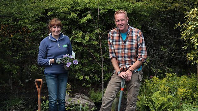 Still image for Beechgrove season 44 episode 10: Episode 10