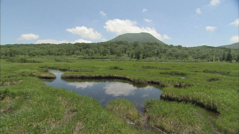 Still image for Wild Hokkaido! season 1 episode 9: Early Summer in Niseko Still image for Wild Hokkaido! season 1 episode 9: Early Summer in Niseko