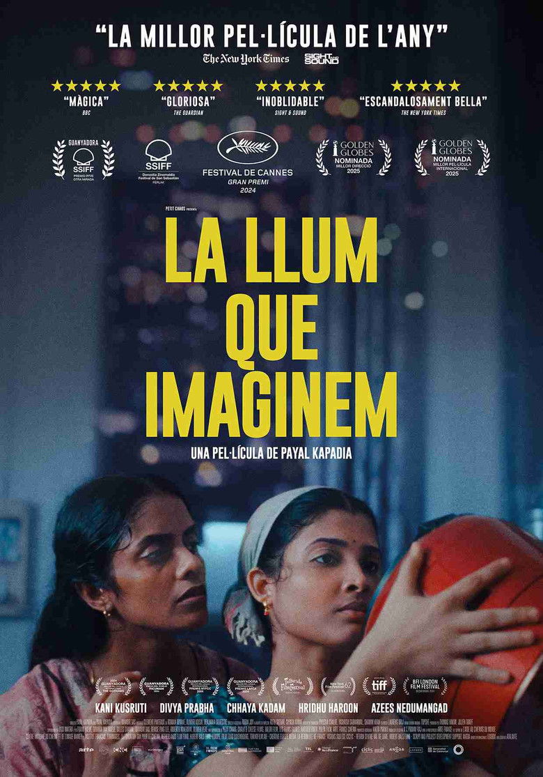 Imatge de La llum que imaginem