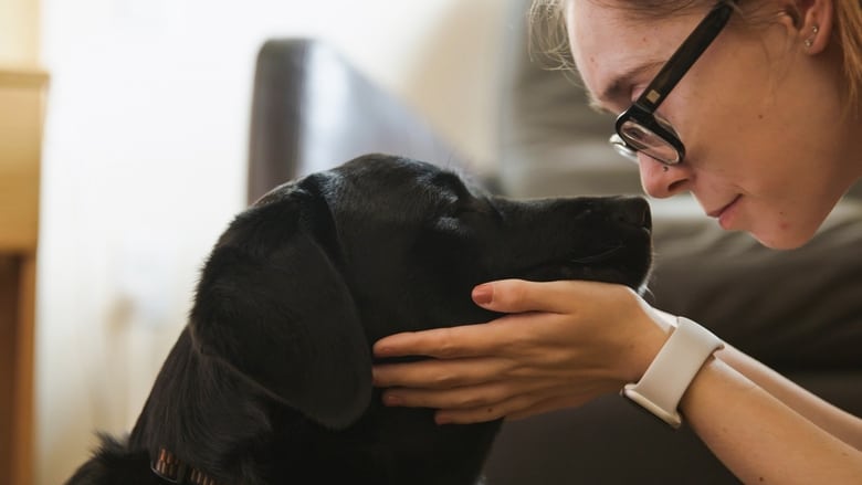 Still image for Pick of the Litter season 1 episode 6: Together at Last Still image for Pick of the Litter season 1 episode 6: Together at Last