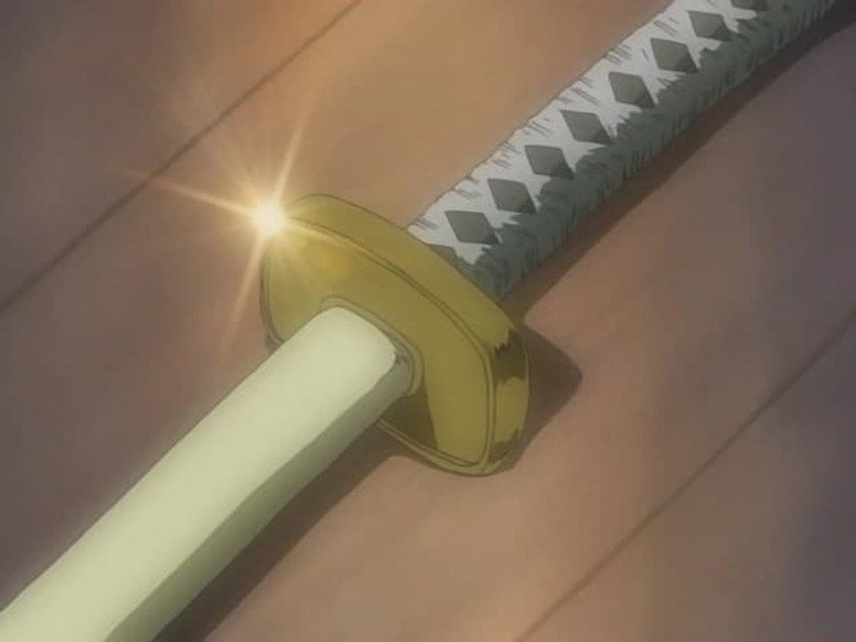 The Pirate King and the Master Swordsman still