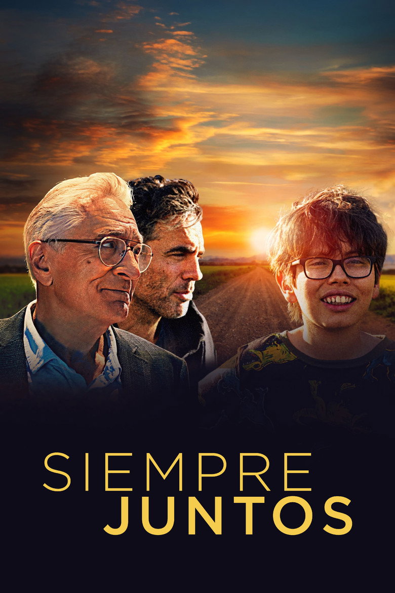 Póster la Película