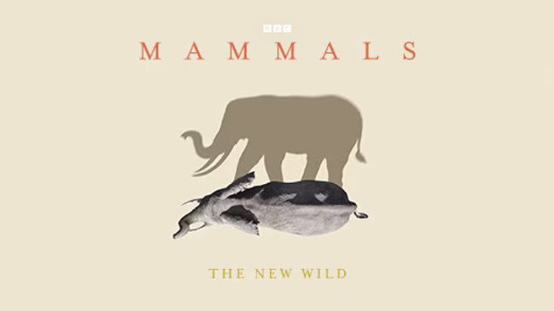 The New Wild