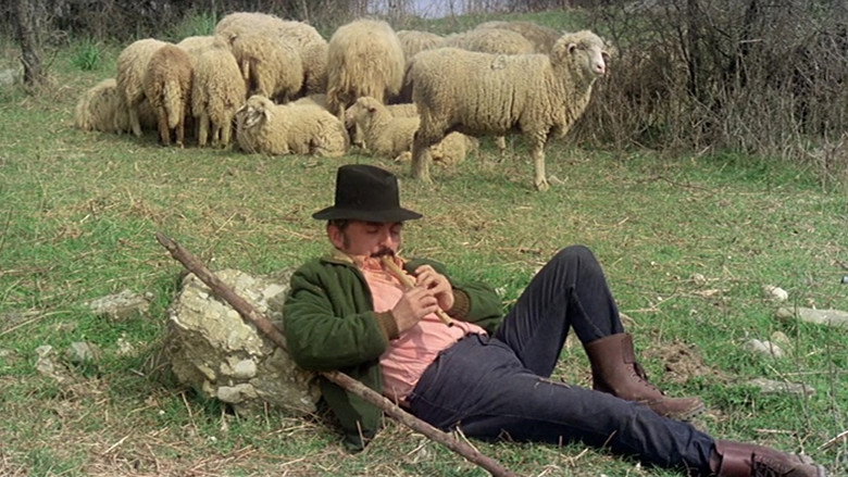 Imatge de Amori, letti e tradimenti