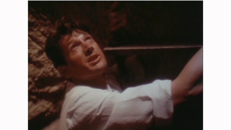 Gallery image from 239FtLfuorXzbo7PLRf2uZadjyz.jpg