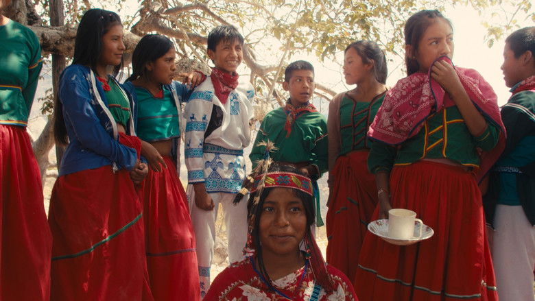 Imatge de Tei Mɨayema