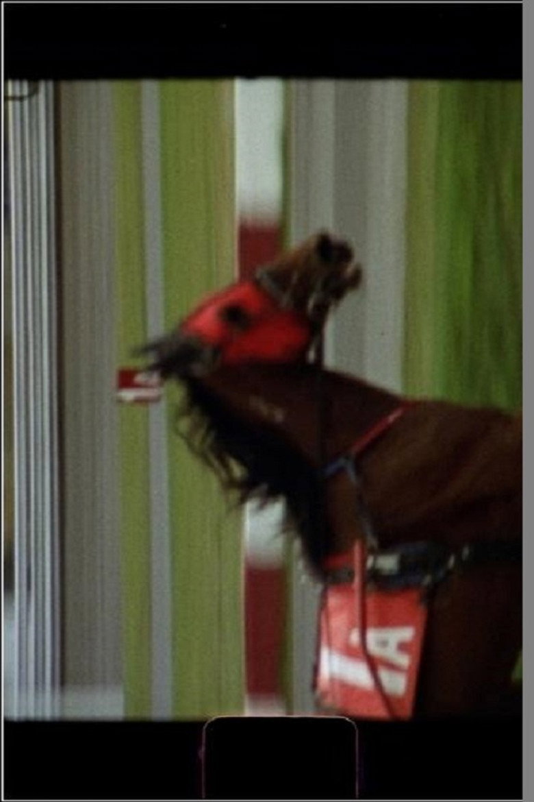 Imatge de Wishful Thinking