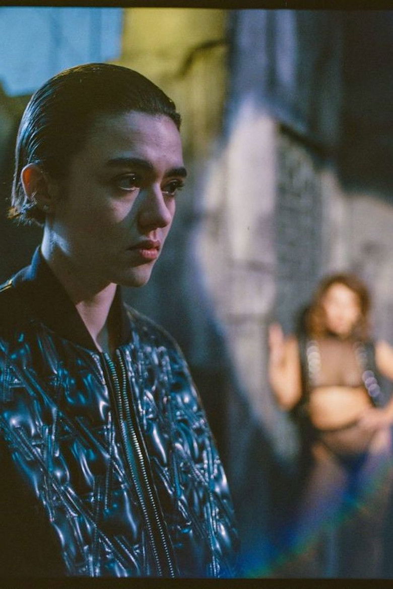 Imatge de Fou de Bassan