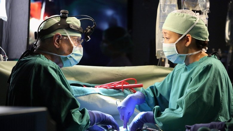 Voir Grey's Anatomy saison 9 episode 5 en Streaming Gratuit