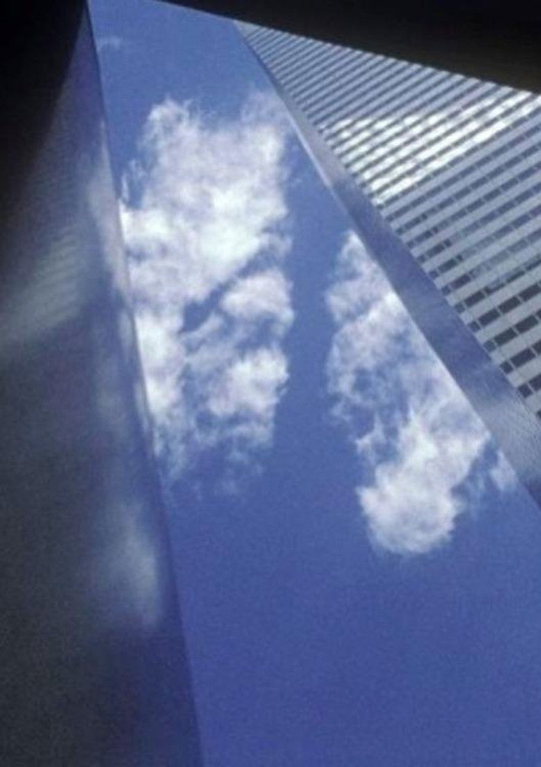 Imatge de Arbor Vitae