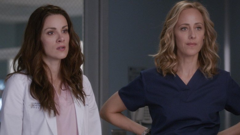 greys anatomy saison 15 streaming greys anatomy saison 15 streaming