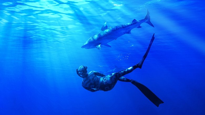 Maui Shark Mystery main backdrop