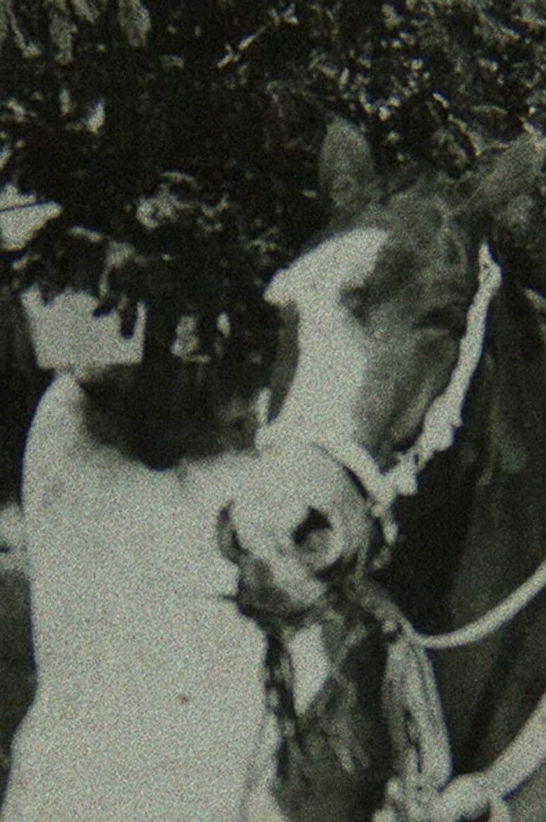 Imatge de Érase una vez en Quizca