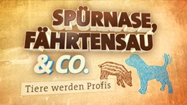 Sp%C3%BCrnase%2C+F%C3%A4hrtensau+%26+Co.