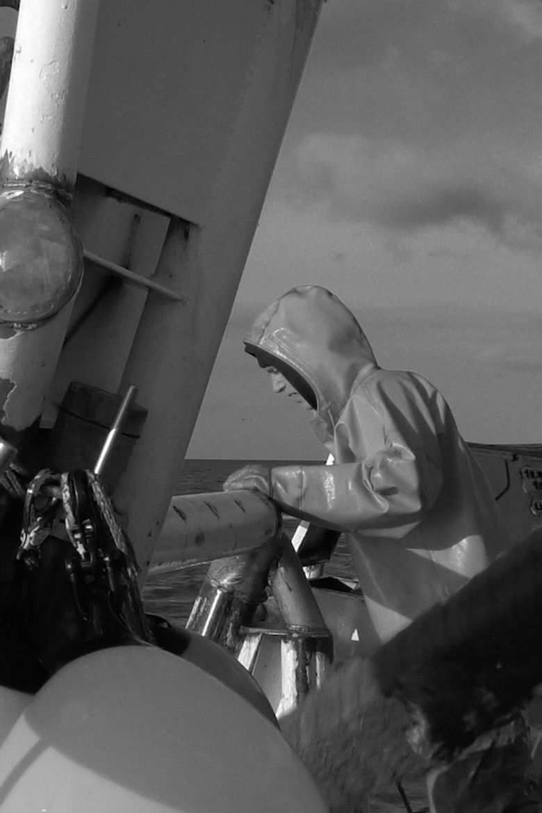 Imatge de de kustlanden zullen op mij wachten