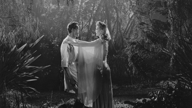 Imatge de La venjança dels zombis