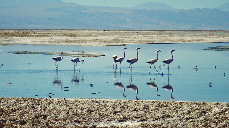 Gallery image from 26A7y3Oqtqj88j8V2G4cQmiGmA8.jpg