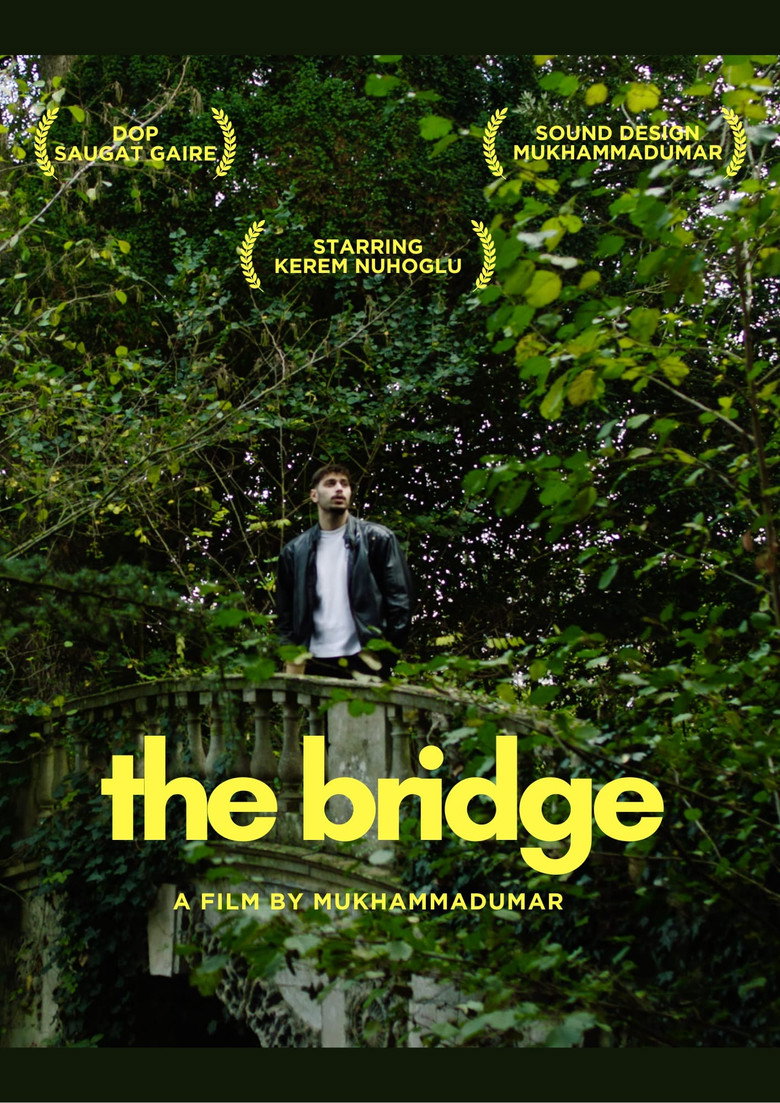 The Bridge poster