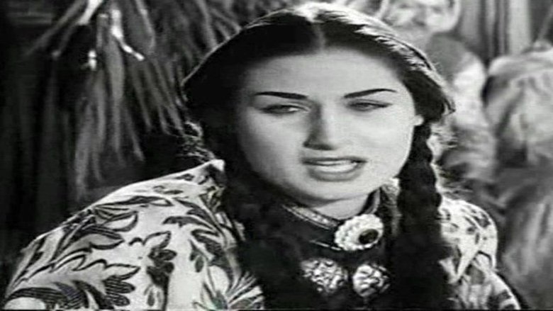 Gallery image from 27D2AK4dn6IbrNdMMAA8mTzp1Qx.jpg