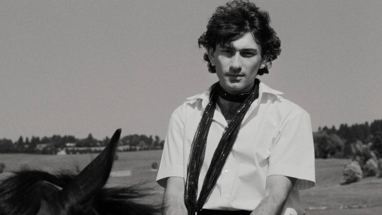 Image d'arrière-plan 4 du film L'Allégement