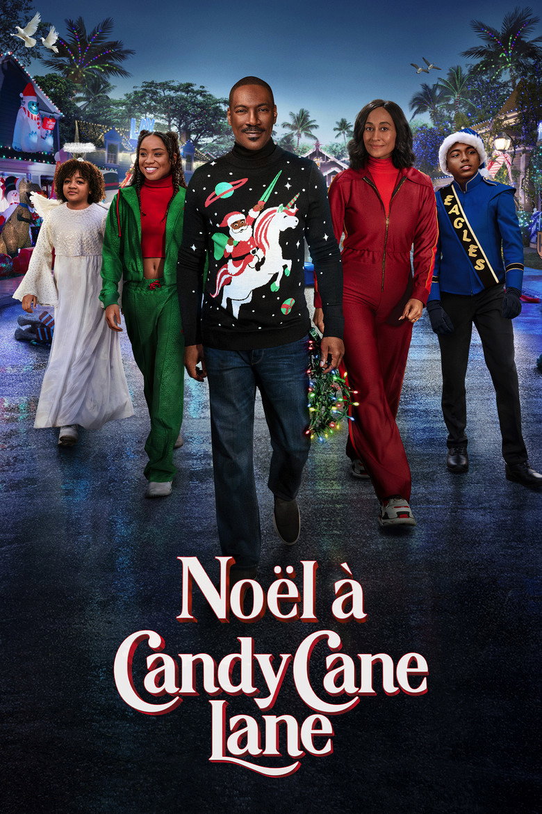 Póster la Película