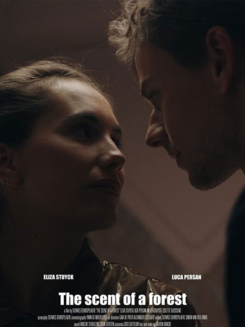 Imatge de De geur van een bos