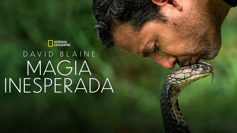 Gallery image from 29nu7HssL2VDydywDmEp4hspWrC.jpg