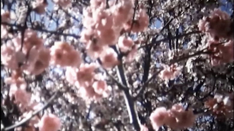 Gallery image from 29tFoTTOcZvpDDrjCfLXVnsaZIE.jpg