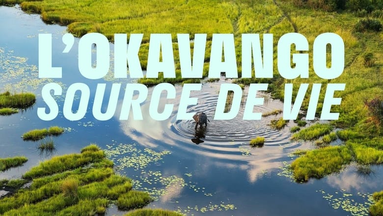 Okavango: A Flood of Life (2021)