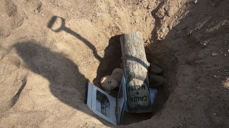 Gallery image from 2B5BTTzxhYuQg70D1pxGFoEDgo7.jpg